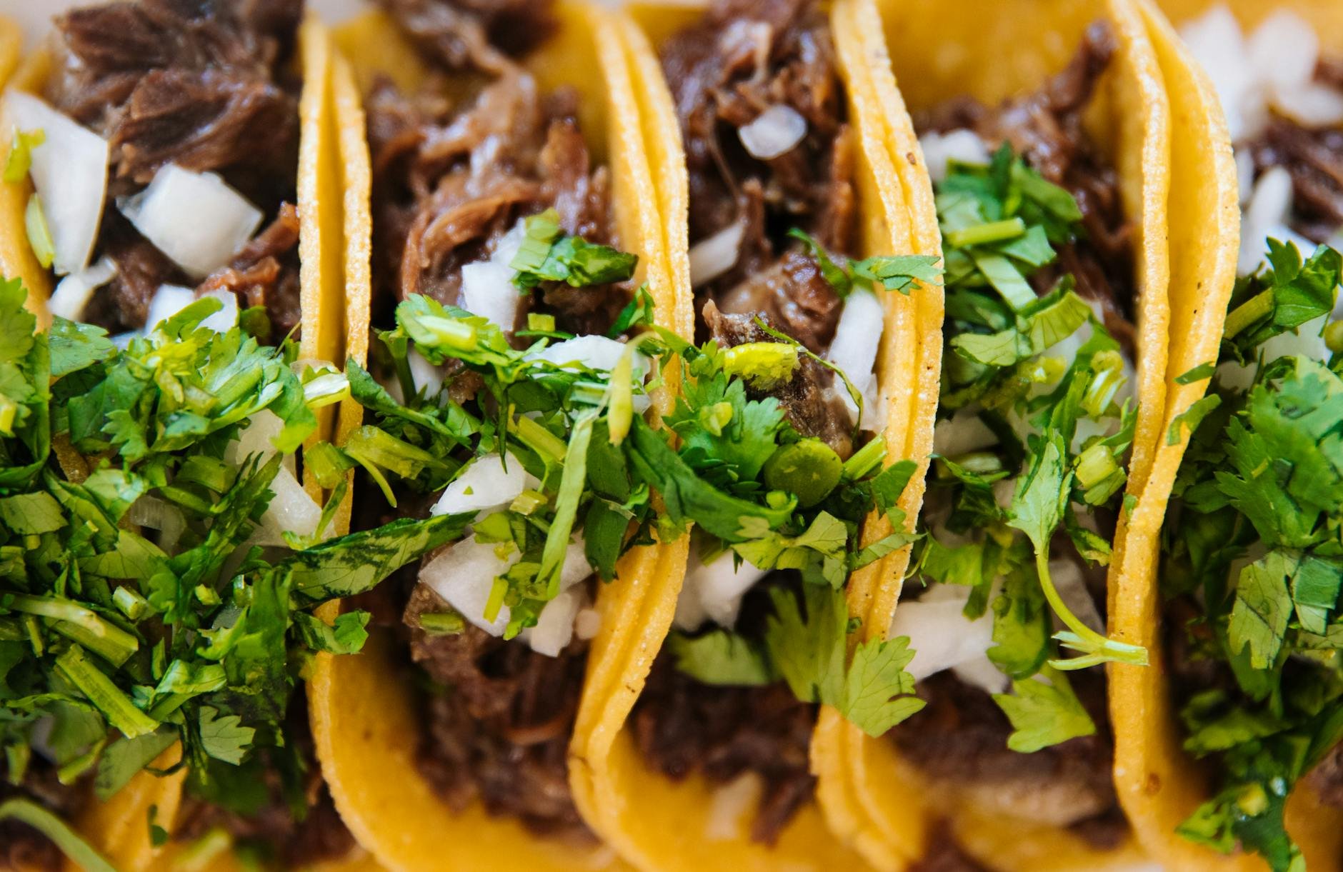 Close-up of corn tortilla tacos with beef, cilantro, and onion